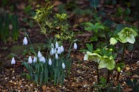 We're not in Glasgow anymore, Toto!